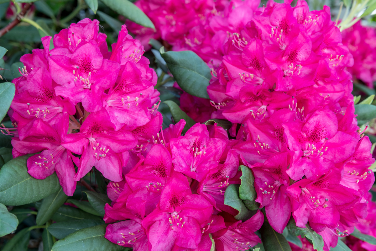 250509-011.jpg