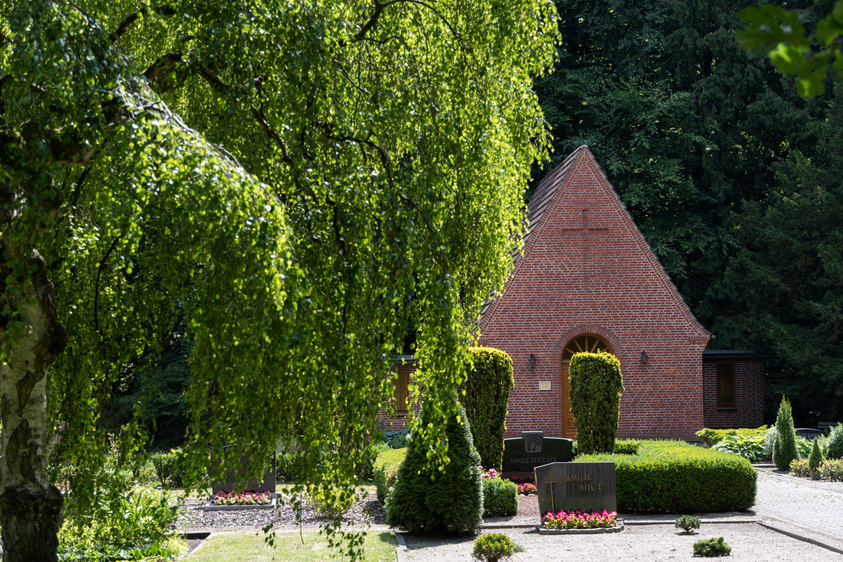250619-005.jpg