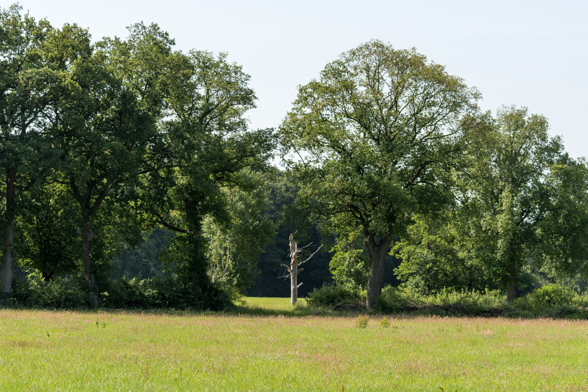 250621-001.jpg