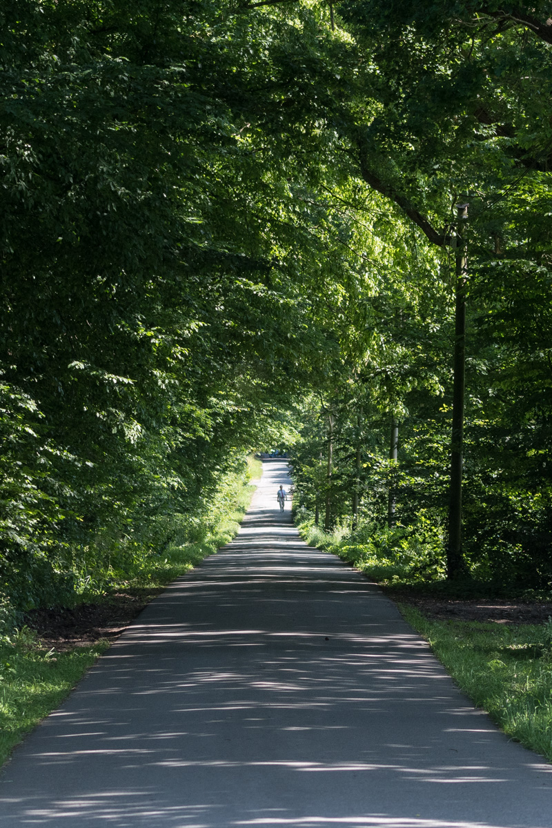 250621-008.jpg