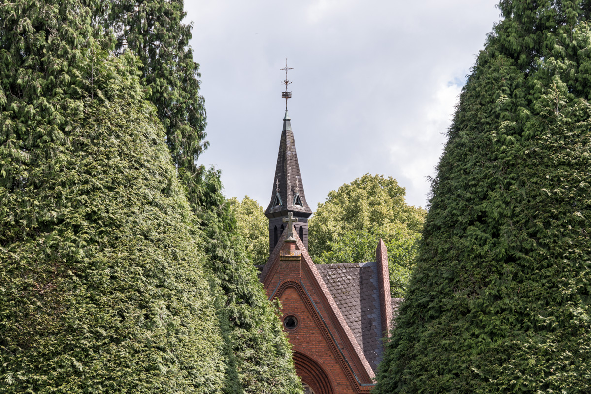 250709-006.jpg