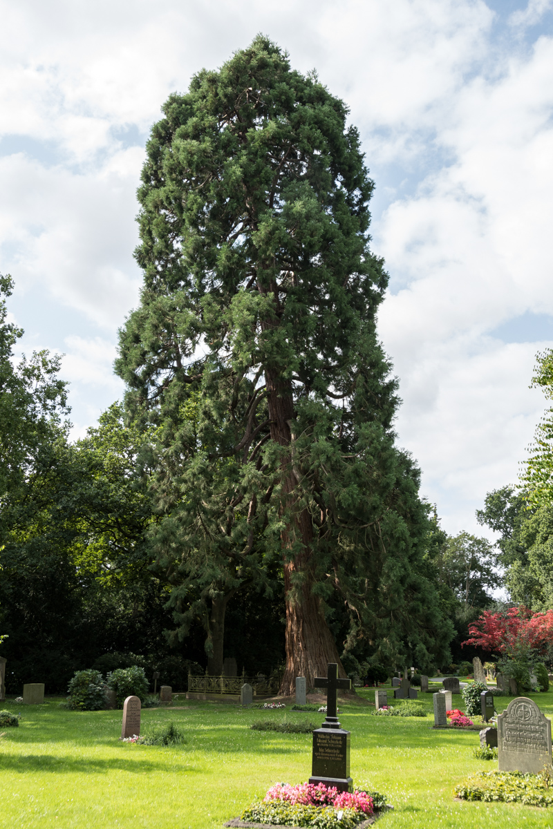 250806-003.jpg
