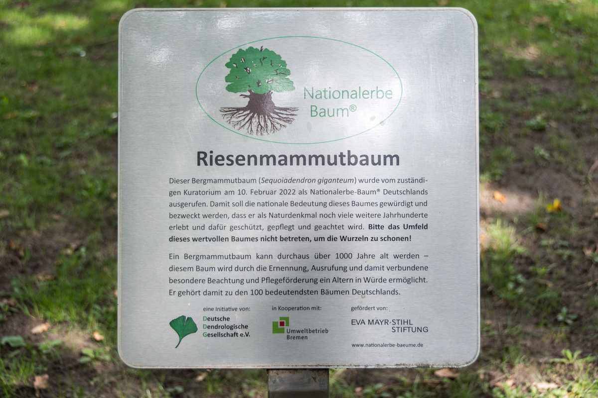250806-006.jpg
