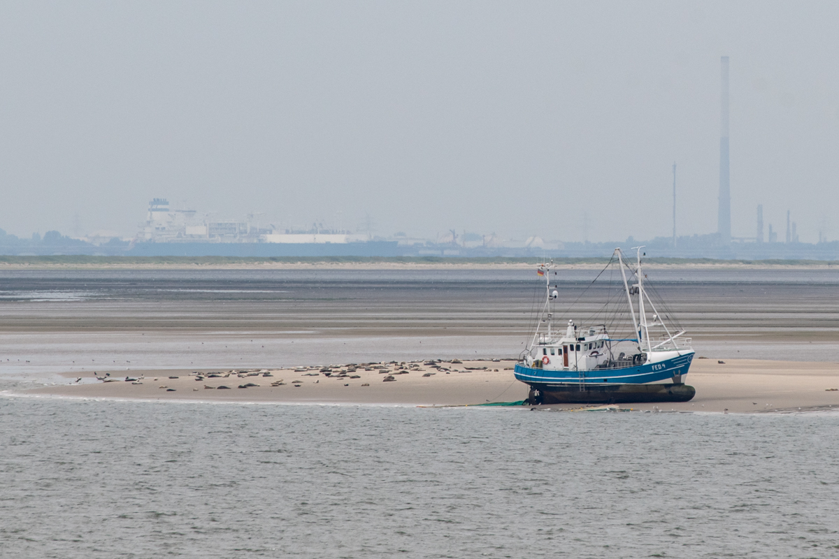 250828 Krabbenkutter FED 4-2.jpg