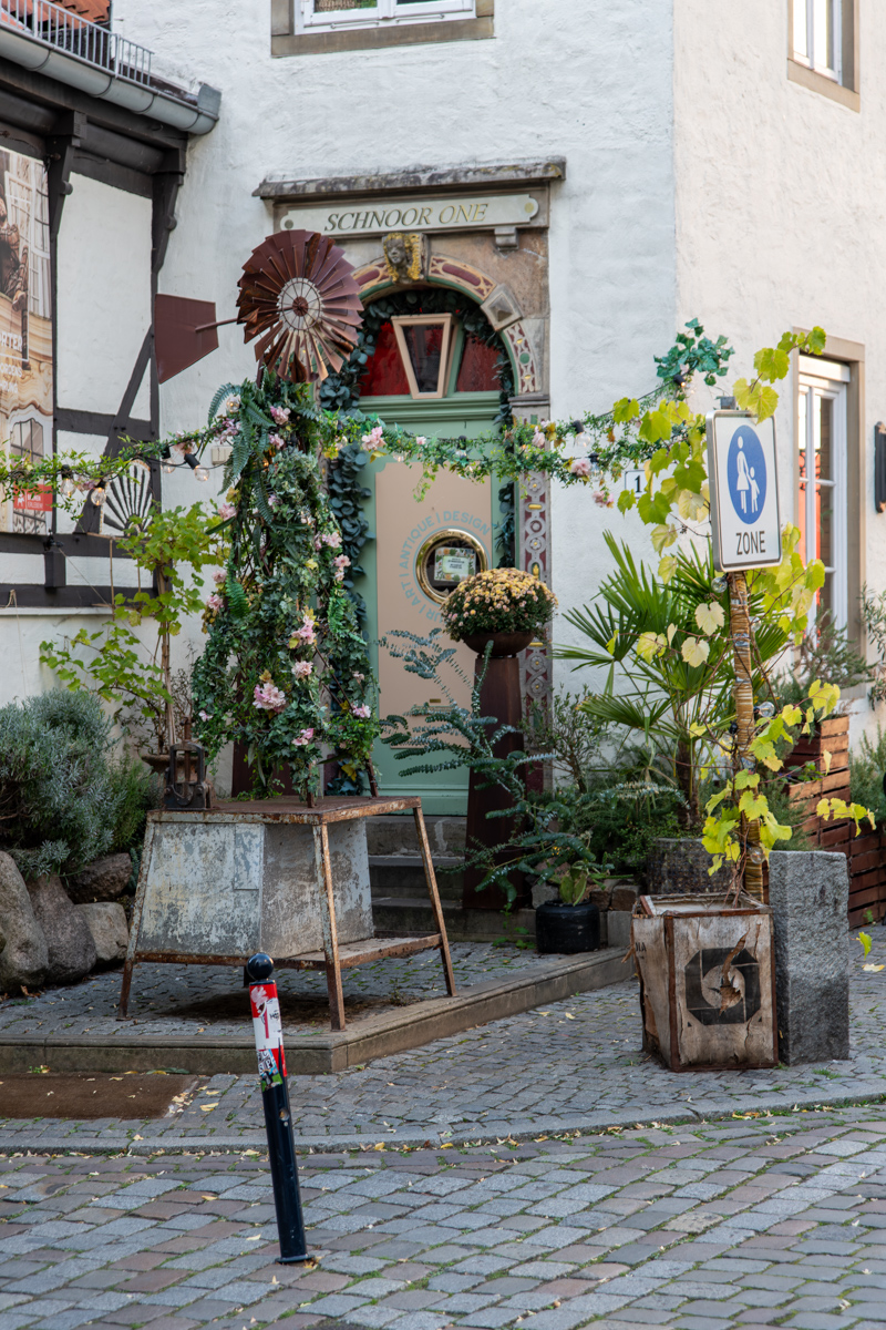 250923 Nikon Stammtisch Schnoor-5.jpg
