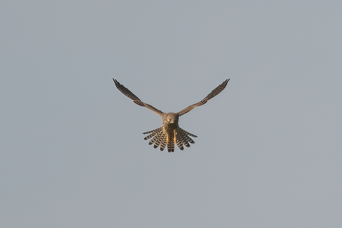251002-026.jpg