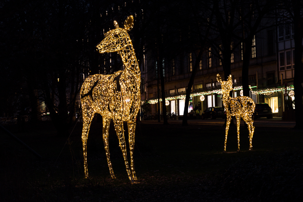 2512-hb-xmas-010.jpg