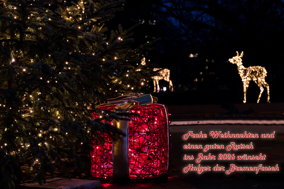 2512-hb-xmas-028.jpg