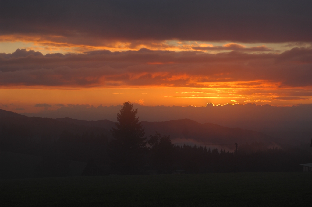 26.09.10, Weg von Freiburg nach Titisee
DSC 0618 small