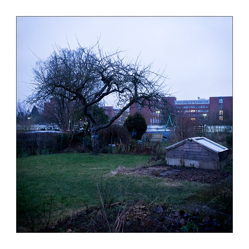 26/365