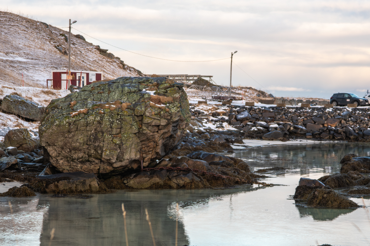260205 Lofoten NF-F-3.jpg