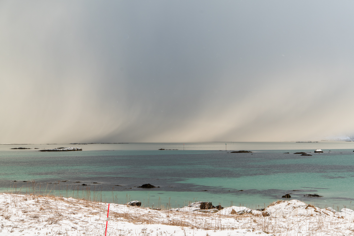 260209 Lofoten NF-F-1.jpg