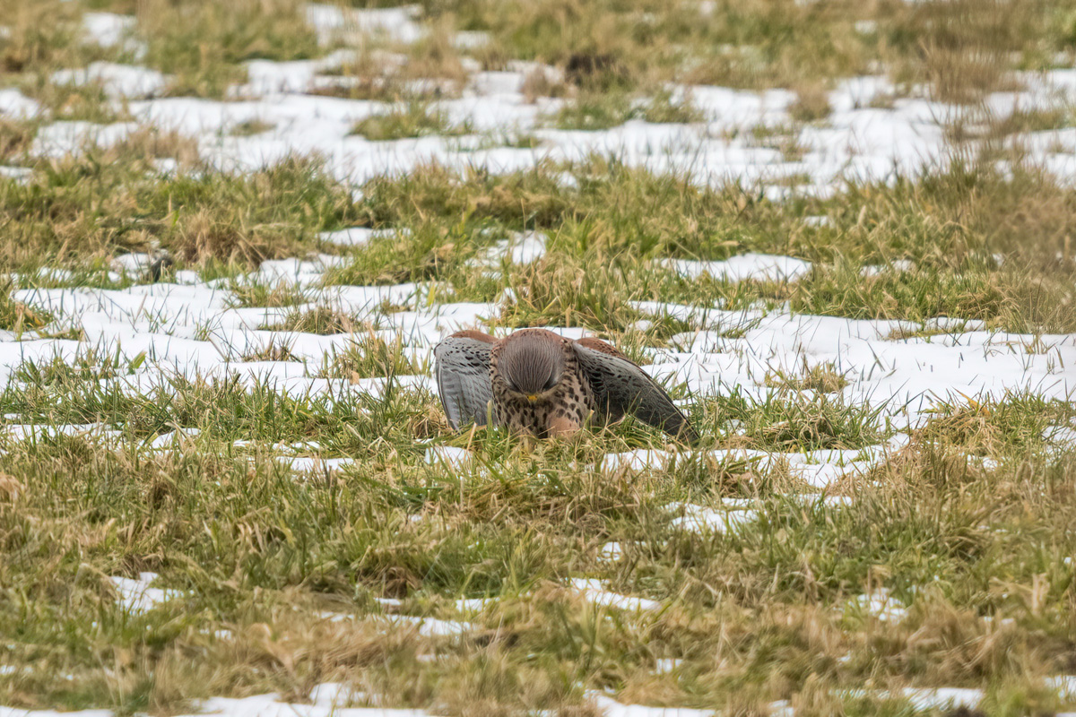 260218-007.jpg