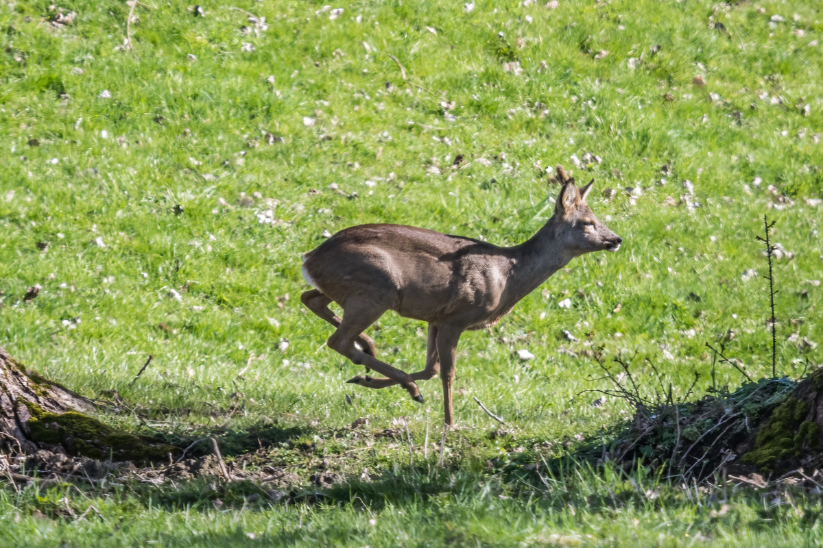 260329-017.jpg