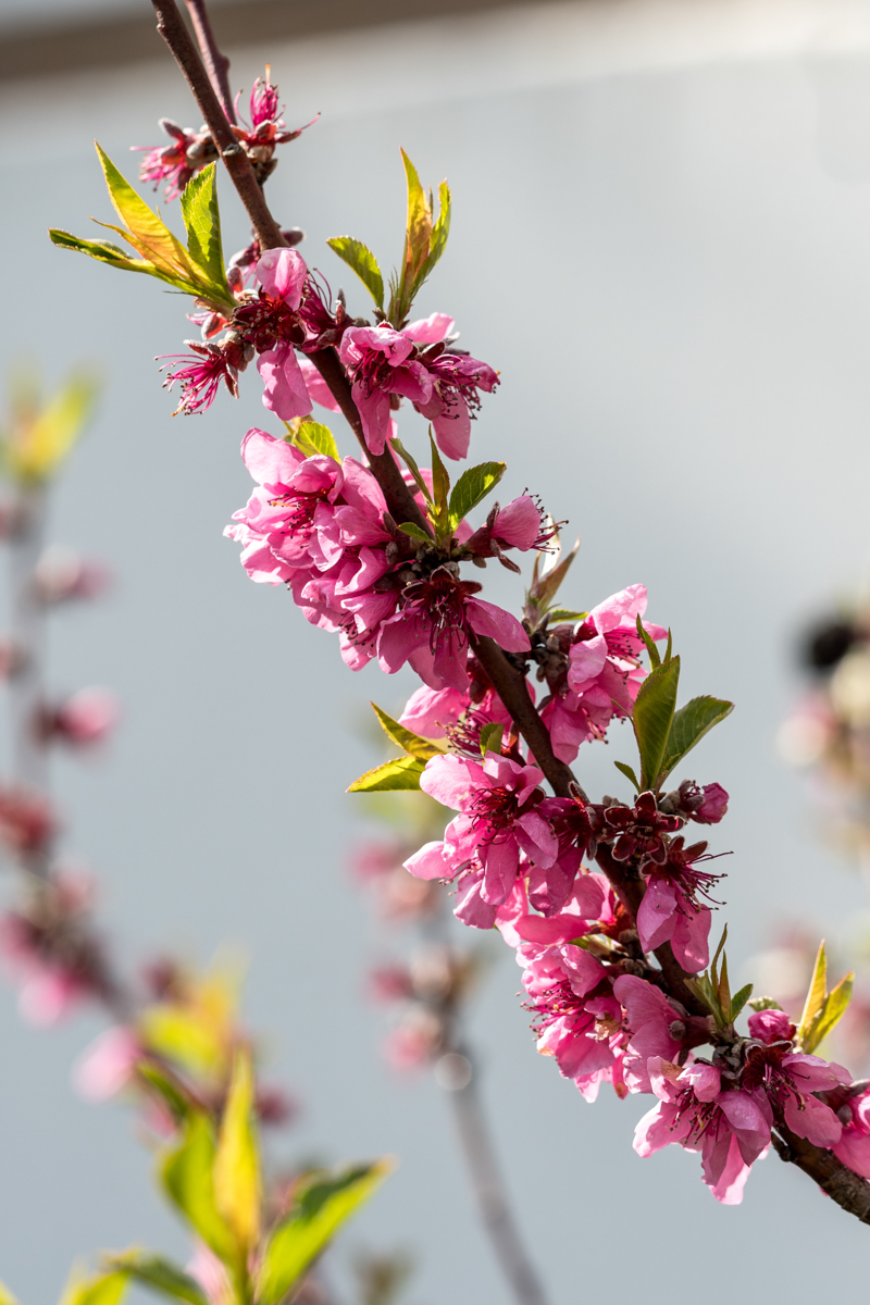 260401-016.jpg