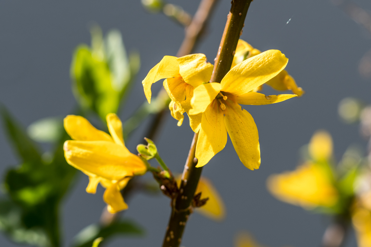 260416-004-2.jpg