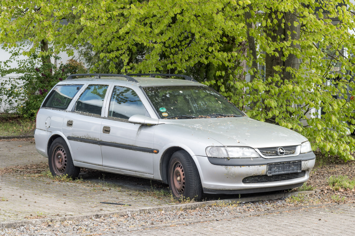 260425-004.jpg