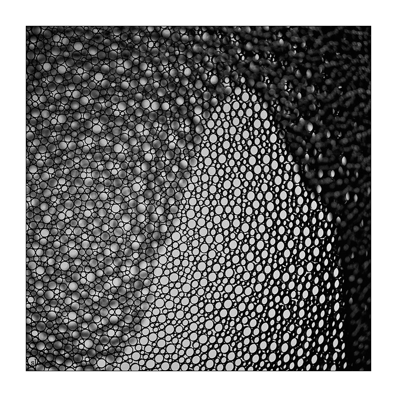 263/365
