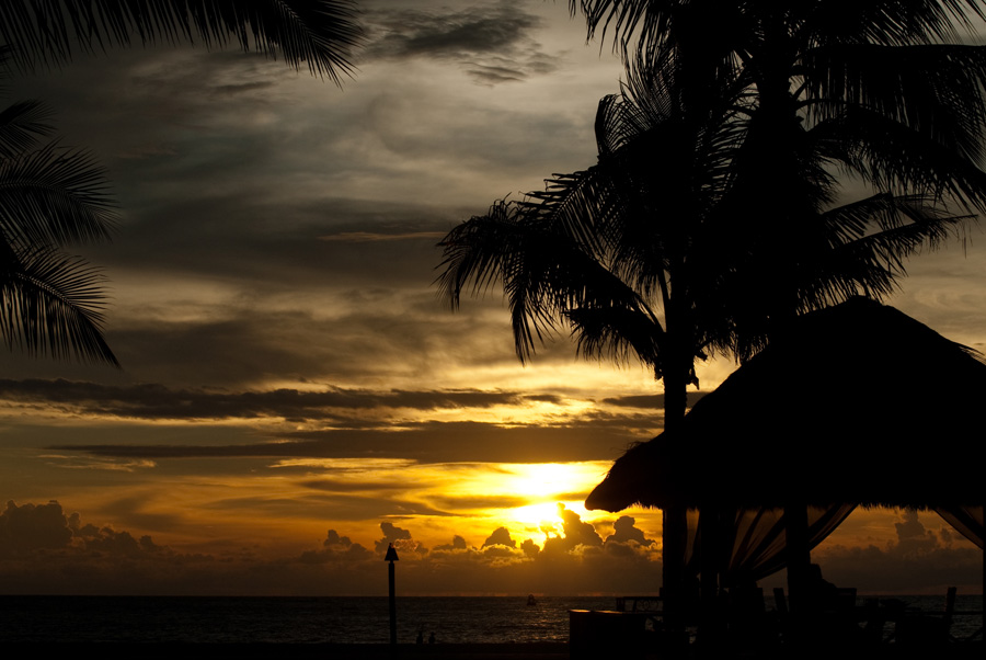 2733 Malays DSC 8583
