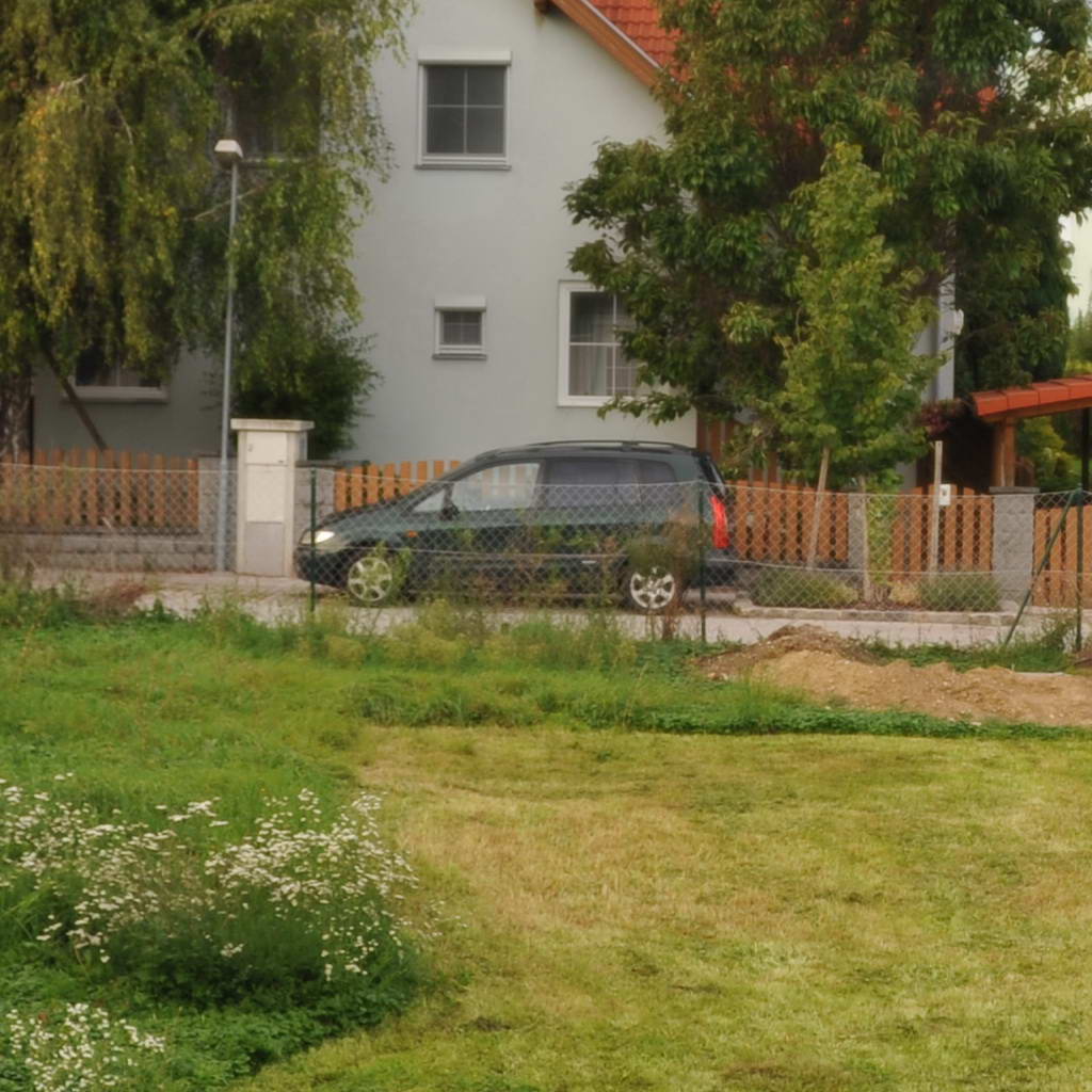 28 300 crop