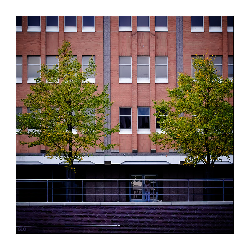 283/365