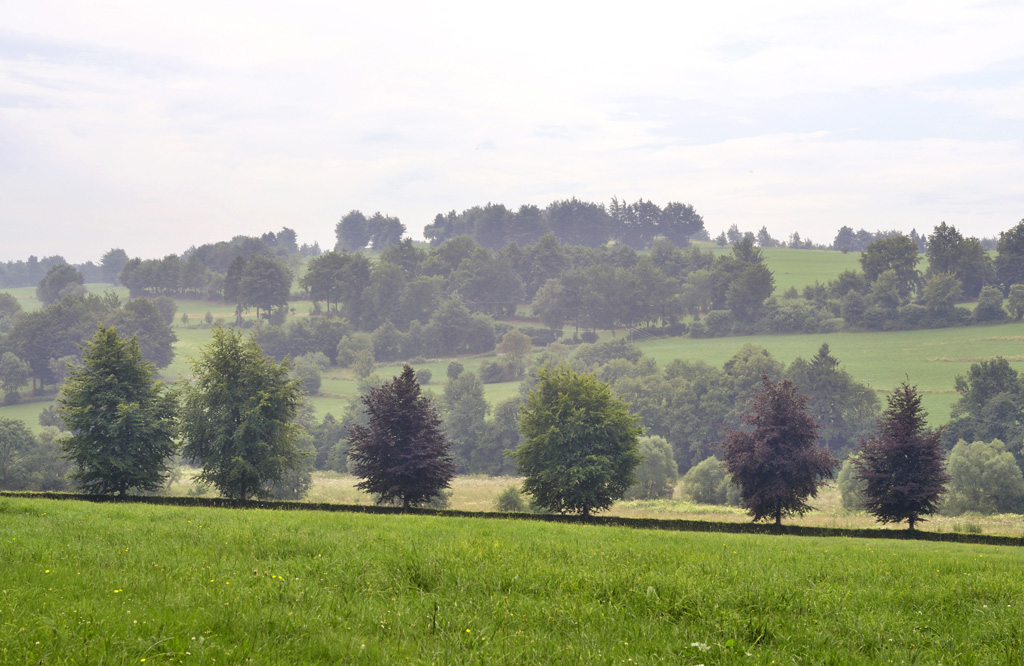 2833a1024landschaftradius