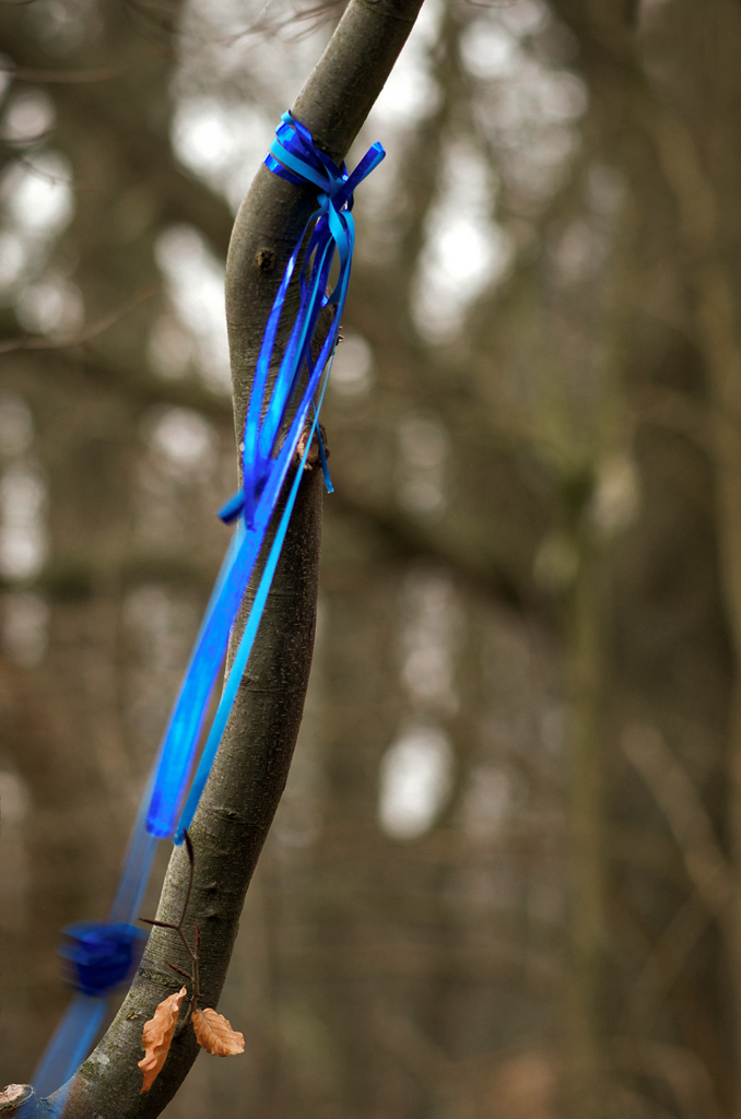 2871024blau