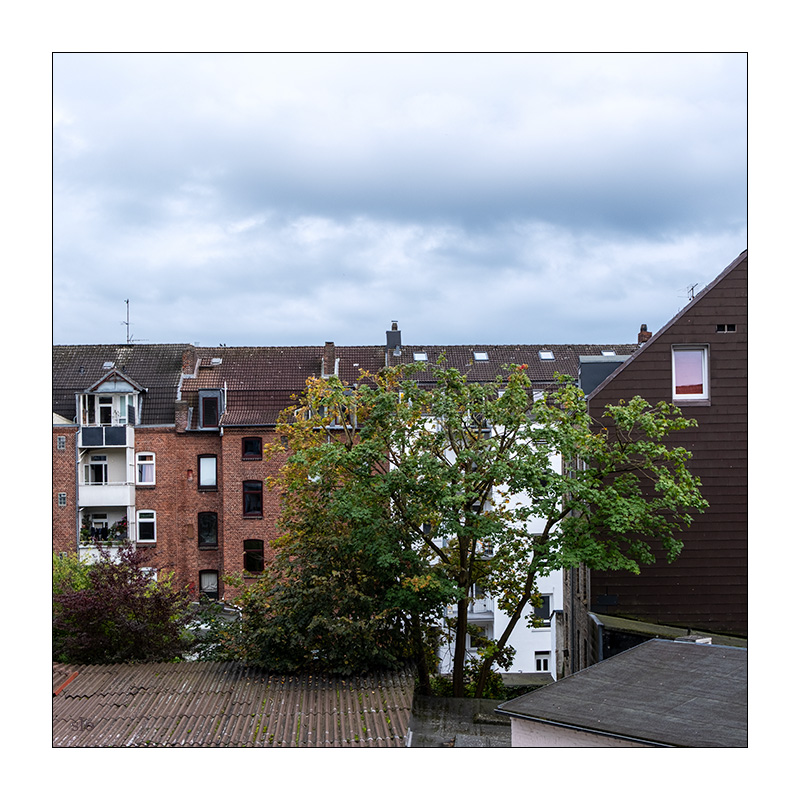 289/365 Hot Chocolate – No Doubt About It © 2026 Sabine Lommatzsch