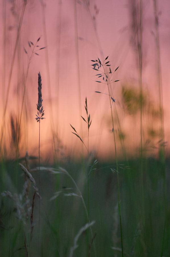 289sonnenuntergang