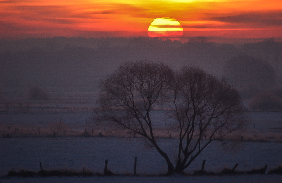 29.01.06 Sonnenaufgang (1 von 1).JPG