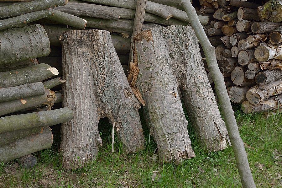 29.04.2012 "Holzhosen"