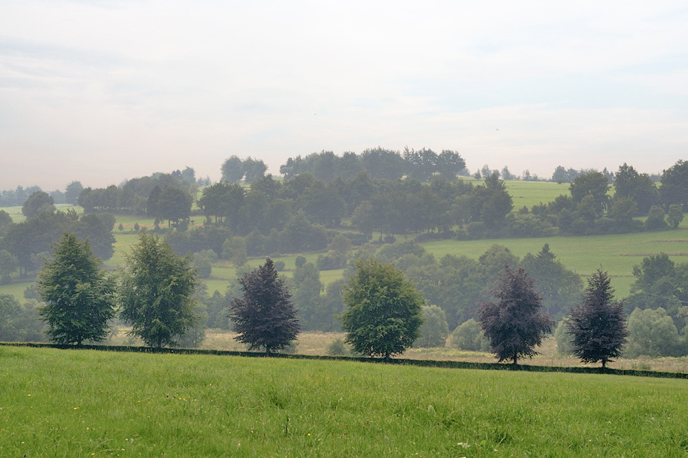 2931024blandschaftotto
