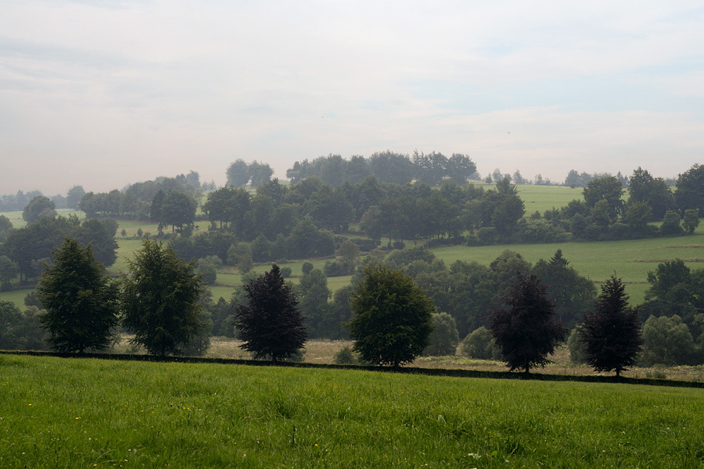 293blandschaft