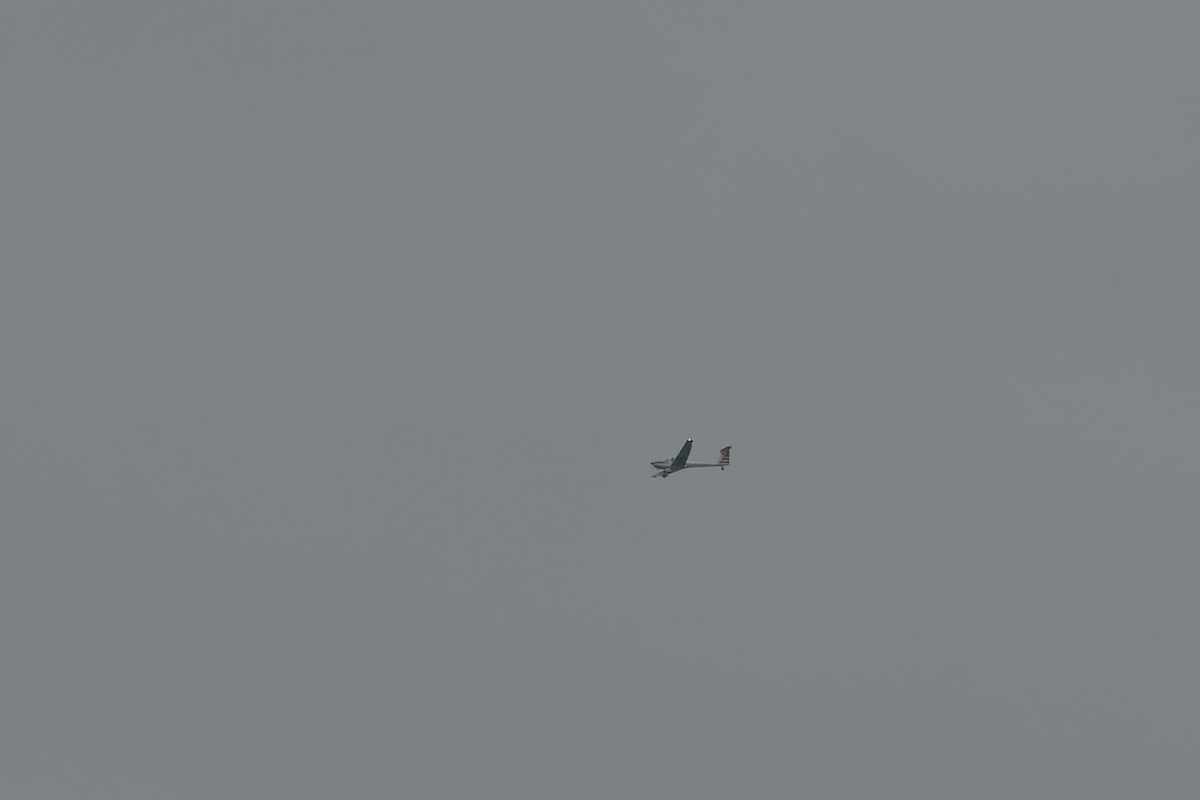 2M120743_DxOAxl.jpg