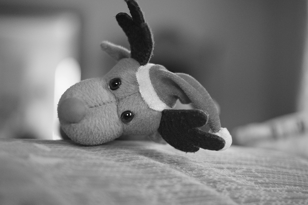3. Advent