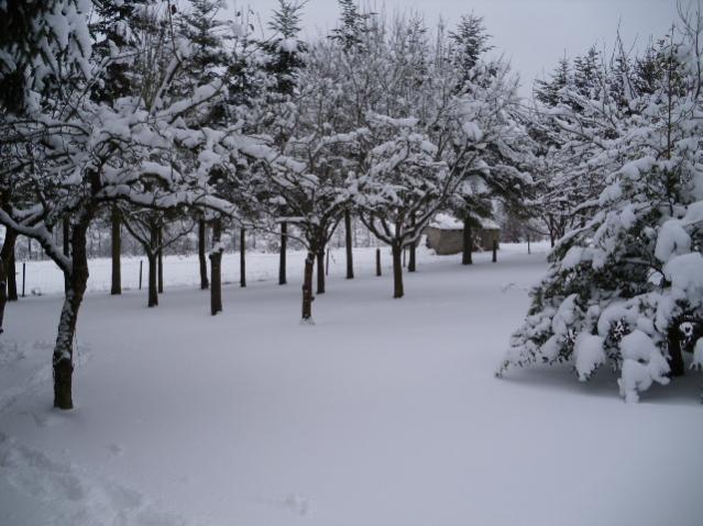 3   Kopie