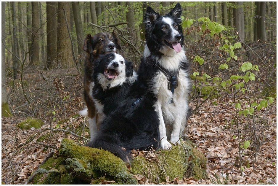 3 posing