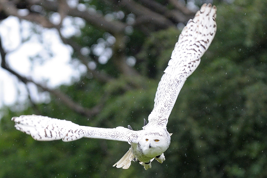 300 7894
