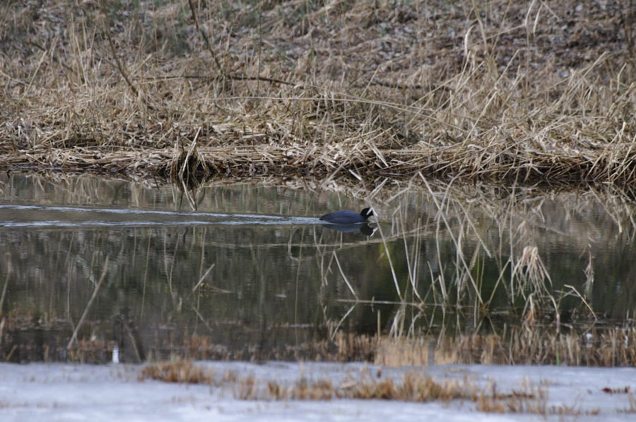300 mm