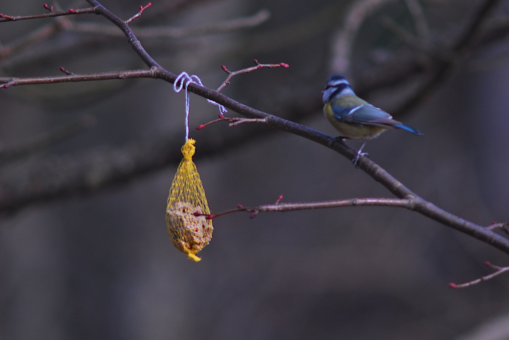 300 Test 4