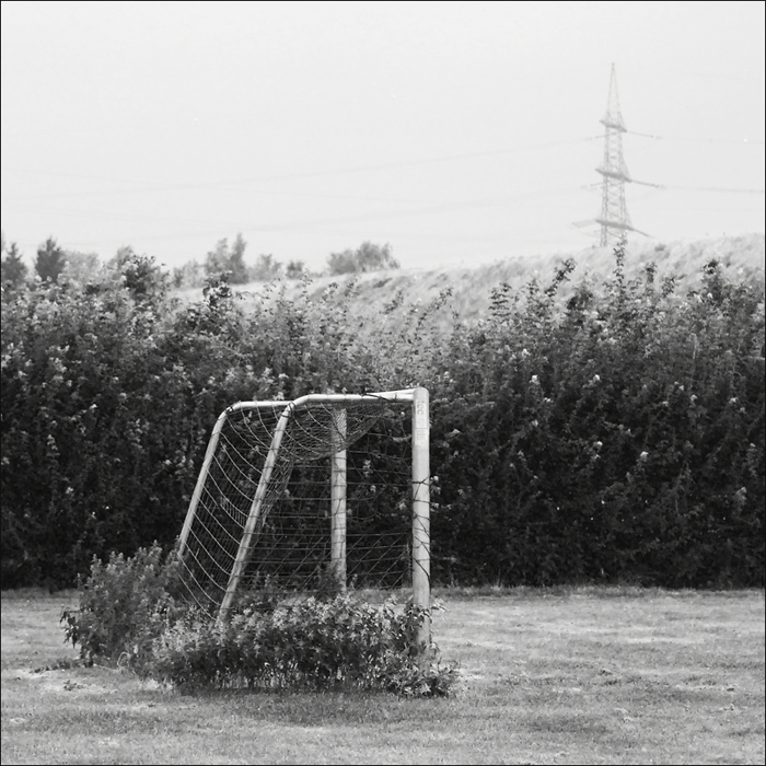 300700derpudelaufdemfußballplatz