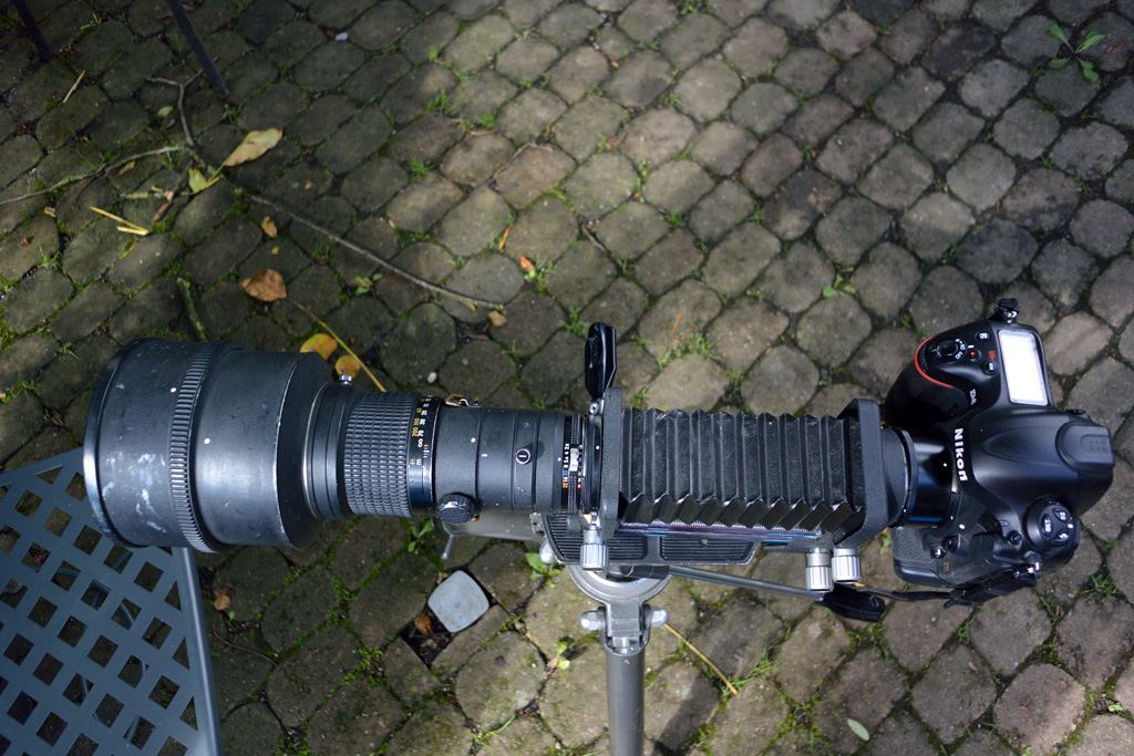 300mmDSC 5174