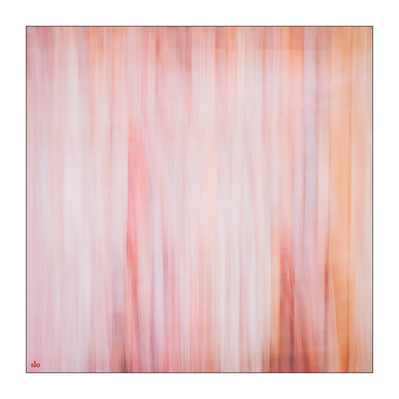 305/365