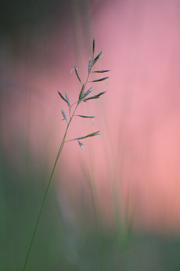 305sonnenuntergang