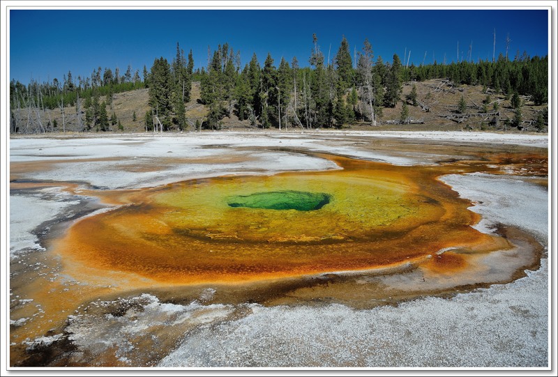 #31 Old Faithful Area Trail