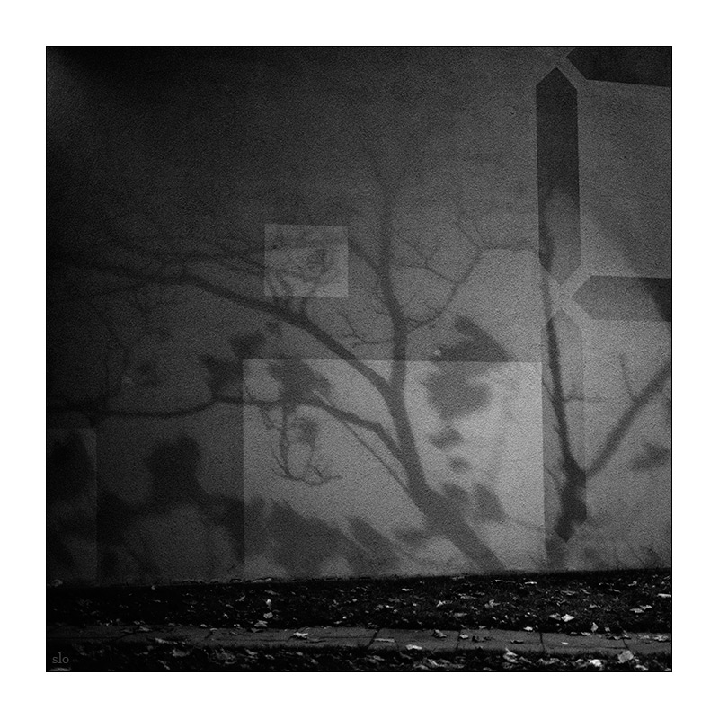 313/365