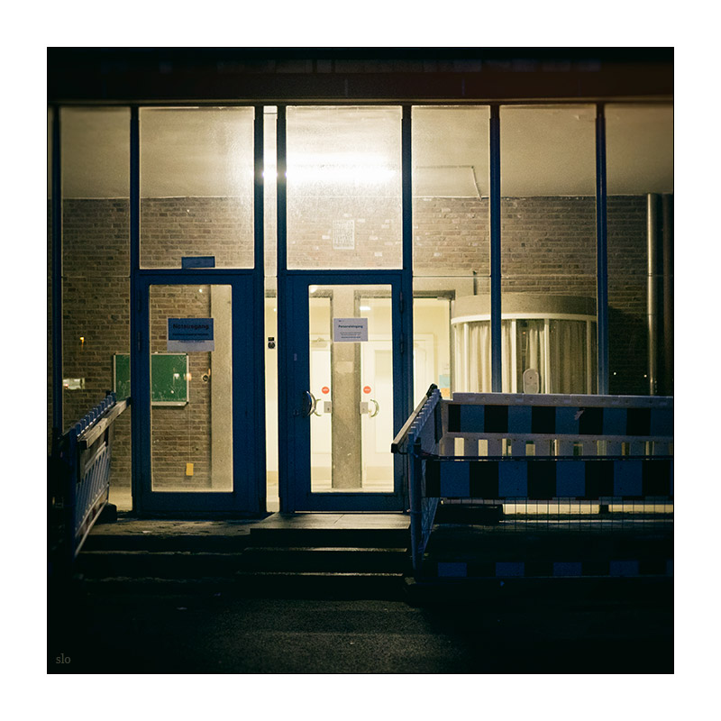 313/365