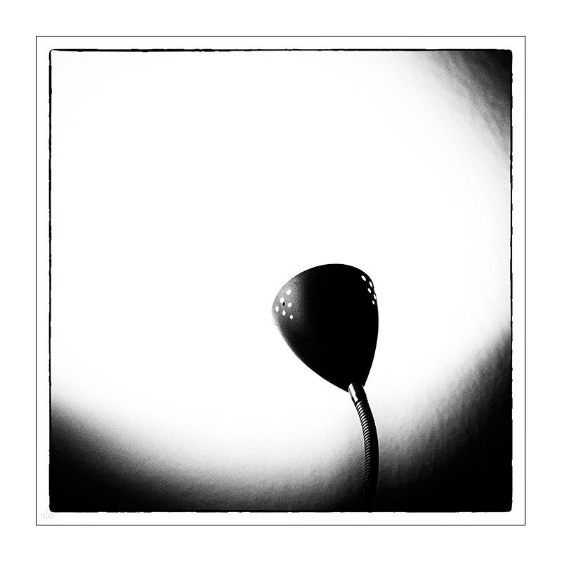 315/365