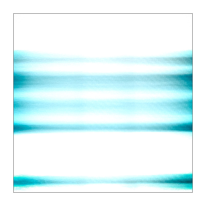 316/365