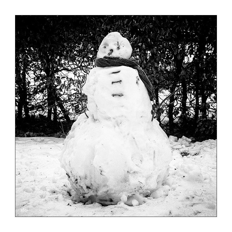 32/365 Deine Cousine – Freaks © 2026 Sabine Lommatzsch